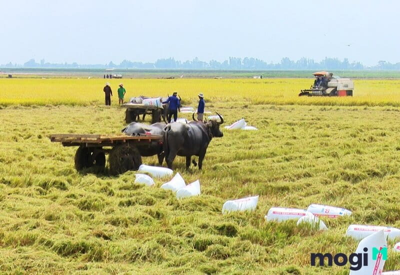 1 công đất = 1296 m2 = 1/10 mẫu.