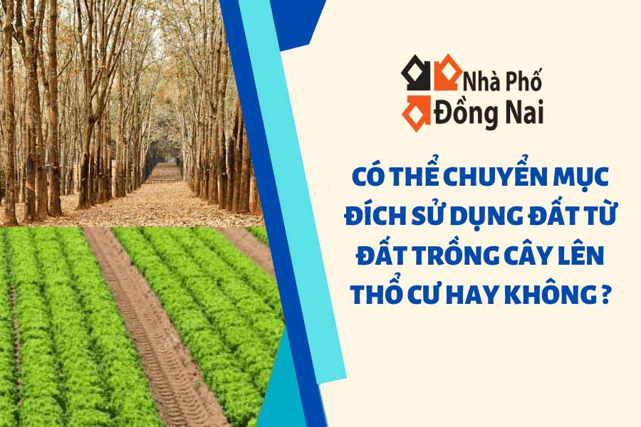 Quy Định Về Chuyển Mục Đích Sử Dụng Đất