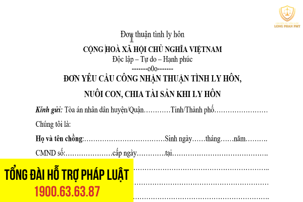 Hướng dẫn viết tay đơn yêu cầu công nhận thuận tình ly hôn