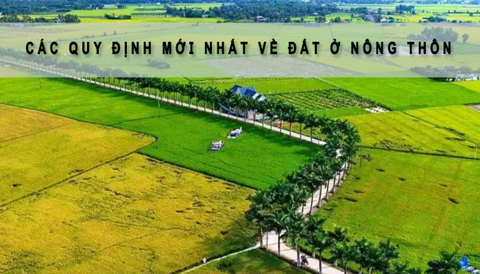 Các quy định mới nhất về đất OTN