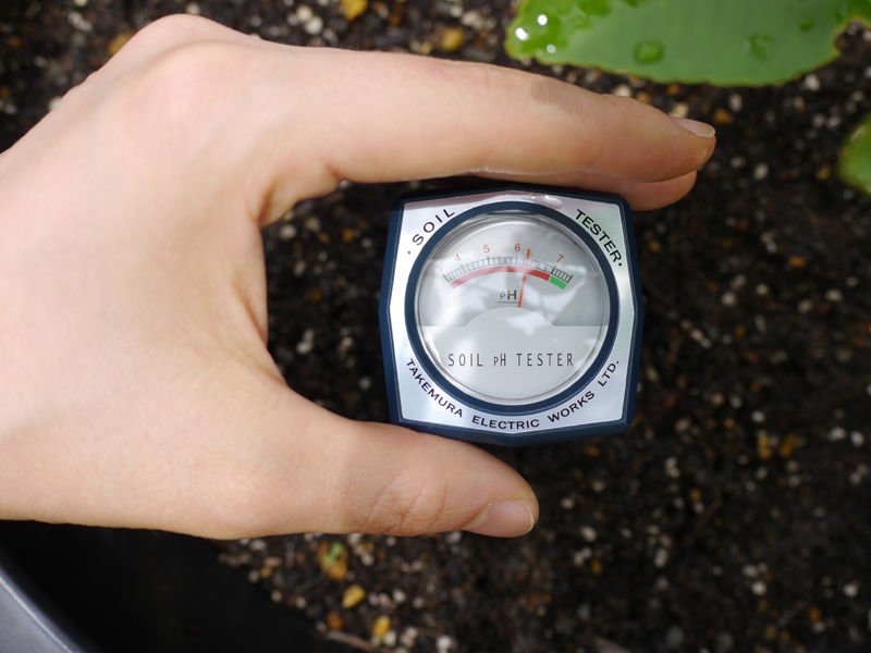 Thường xuyên đo độ pH đất trồng