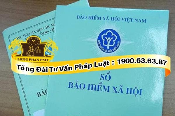 công ty không đóng bảo hiểm xã hội