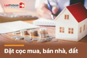 đặt cọc mua nhà