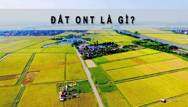 Đất ONT là gì?