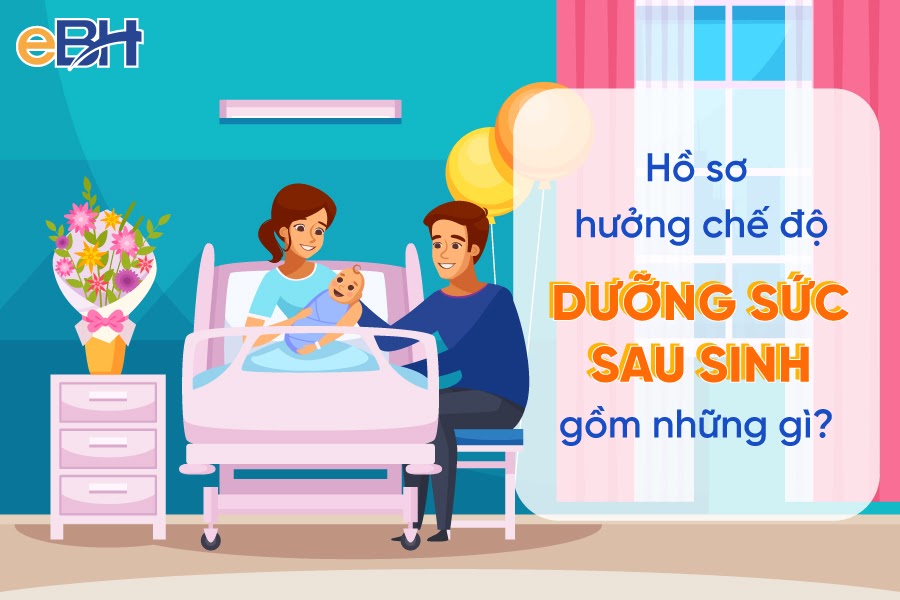 Hồ sơ hưởng chế độ dưỡng sức sau sinh 1