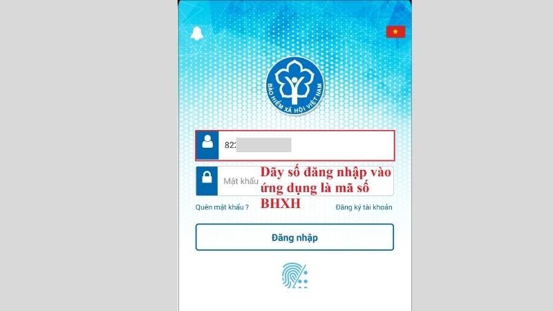 Tra cứu mã số BHXH của bản thân