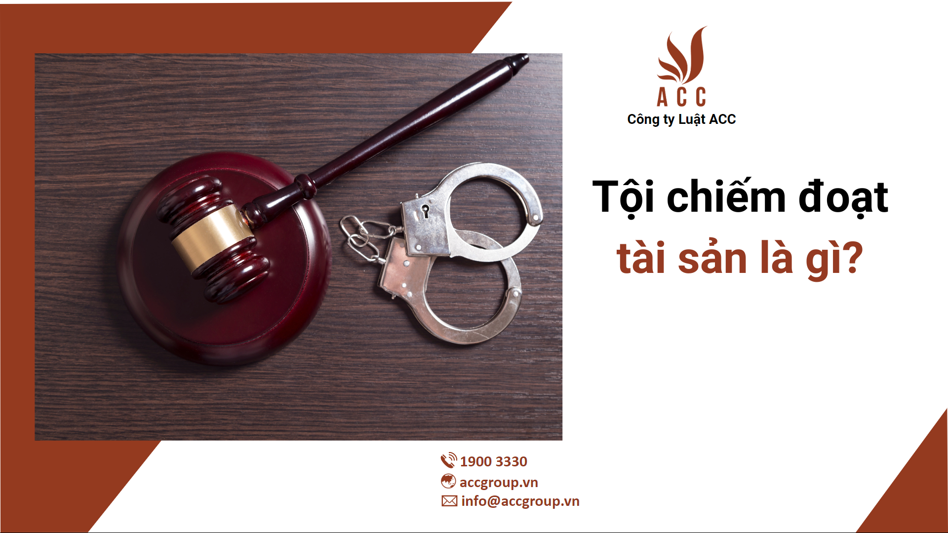 Tá»i chiáº¿m Äoáº¡t tÃ i sáº£n lÃ gÃ¬?