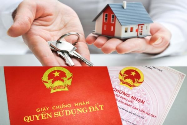 Đơn chuyển nhượng đất cho con mới hiện nay