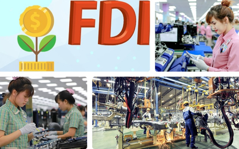 FDI được định nghĩa theo thành phần kinh tế 