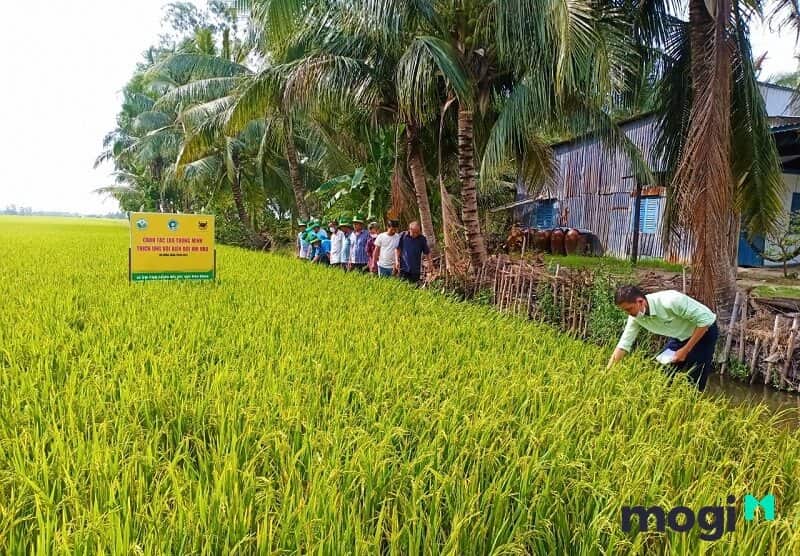 1 công đất ruộng bao nhiêu tiền