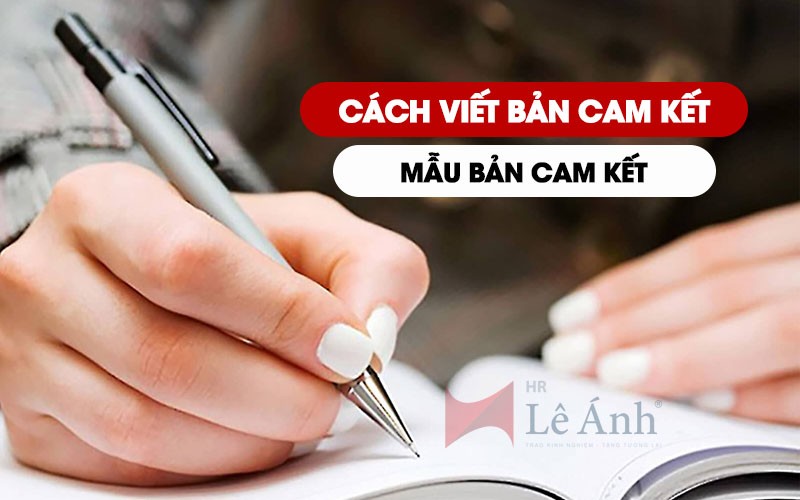 Cách viết bản cam kết