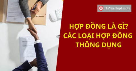 Có bao nhiêu loại hợp đồng