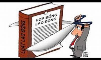 đơn xin chấm dứt hợp đồng