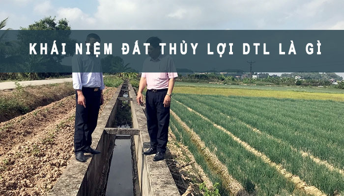 Dtl là đất gì