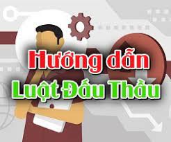 Hướng dẫn thực hiện luật đấu thầu