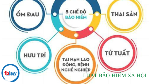 Luật bảo hiểm mới nhất