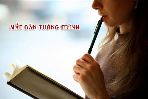 Mẫu đơn bản tường trình