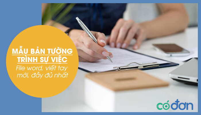 Mẫu đơn tường trình sự việc