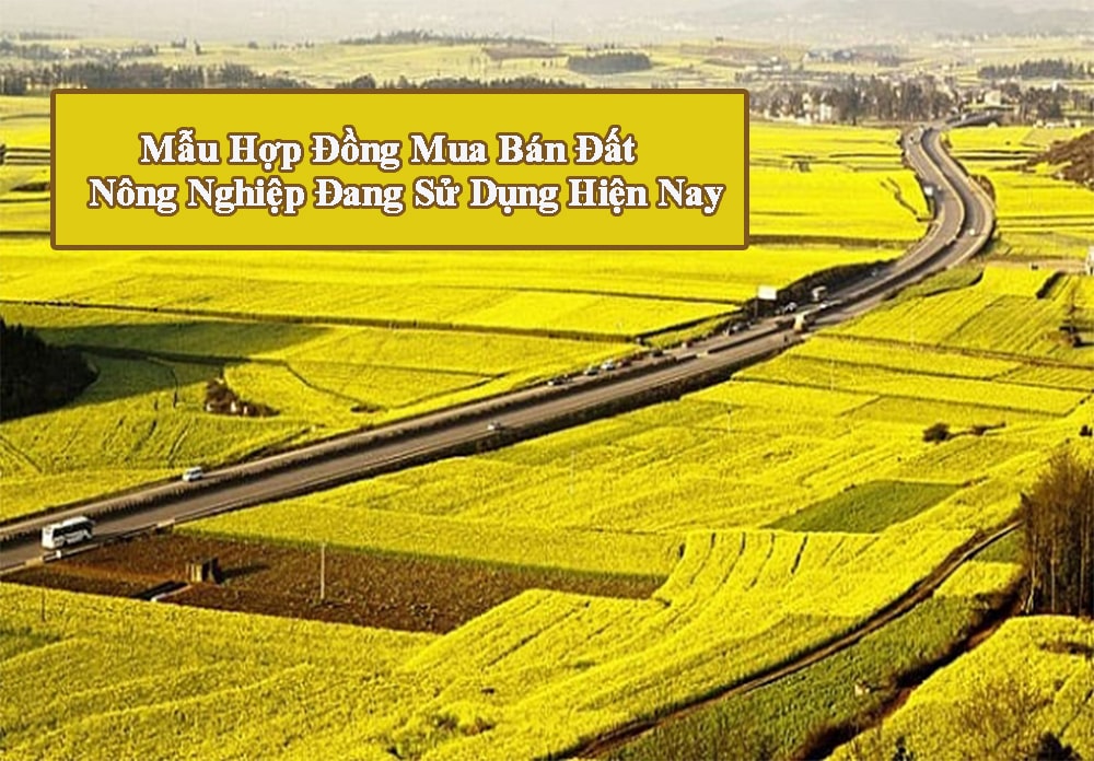 Mẫu hợp đồng mua bán đất nông nghiệp viết tay