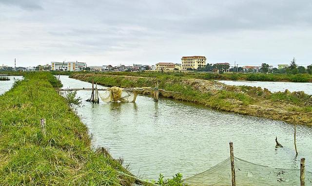 Mnc là đất gì