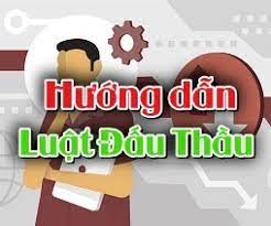 Nghi dinh 63 dau thau