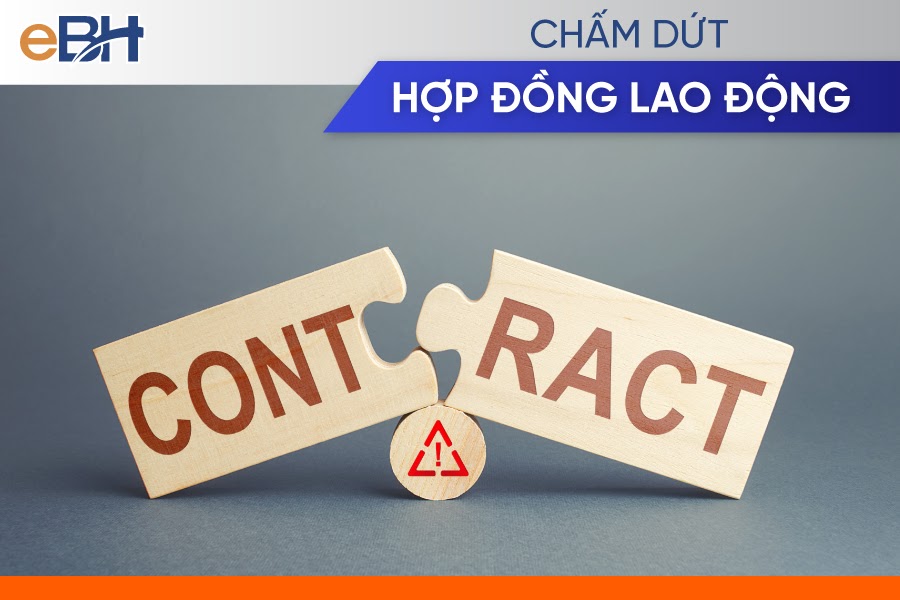 Quyết định chấm dứt hợp đồng lao động