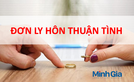 Thuận tình mẫu đơn xin ly hôn