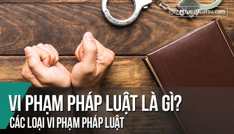 Ví dụ về vi phạm của pháp luật